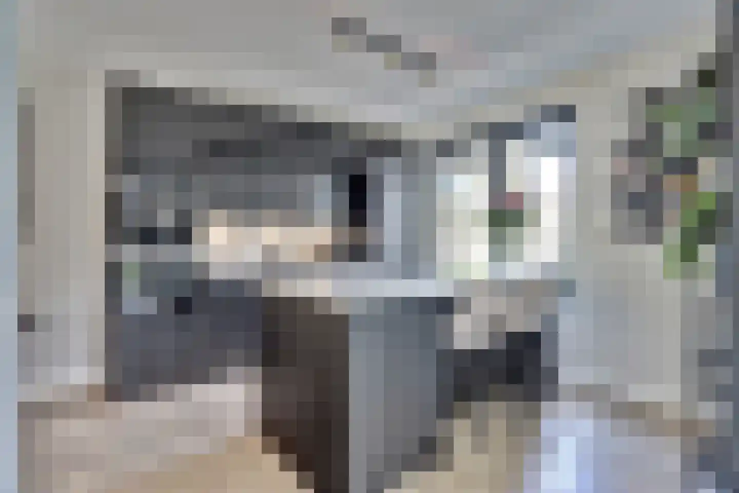 Zilverkarper 8 Waddinxveen thumbnail 14