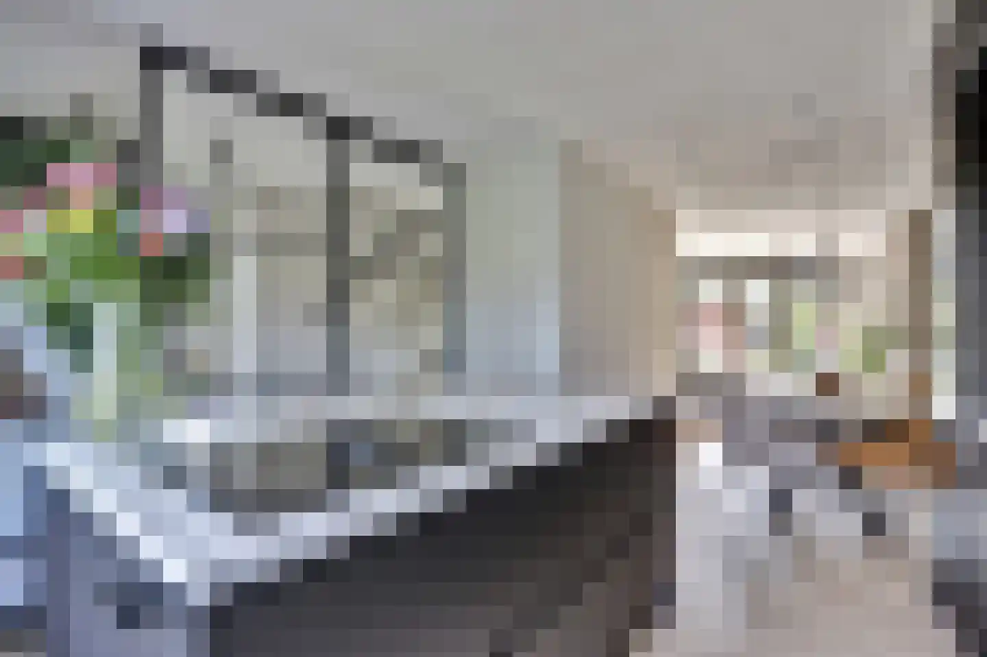 Zilverkarper 8 Waddinxveen thumbnail 15