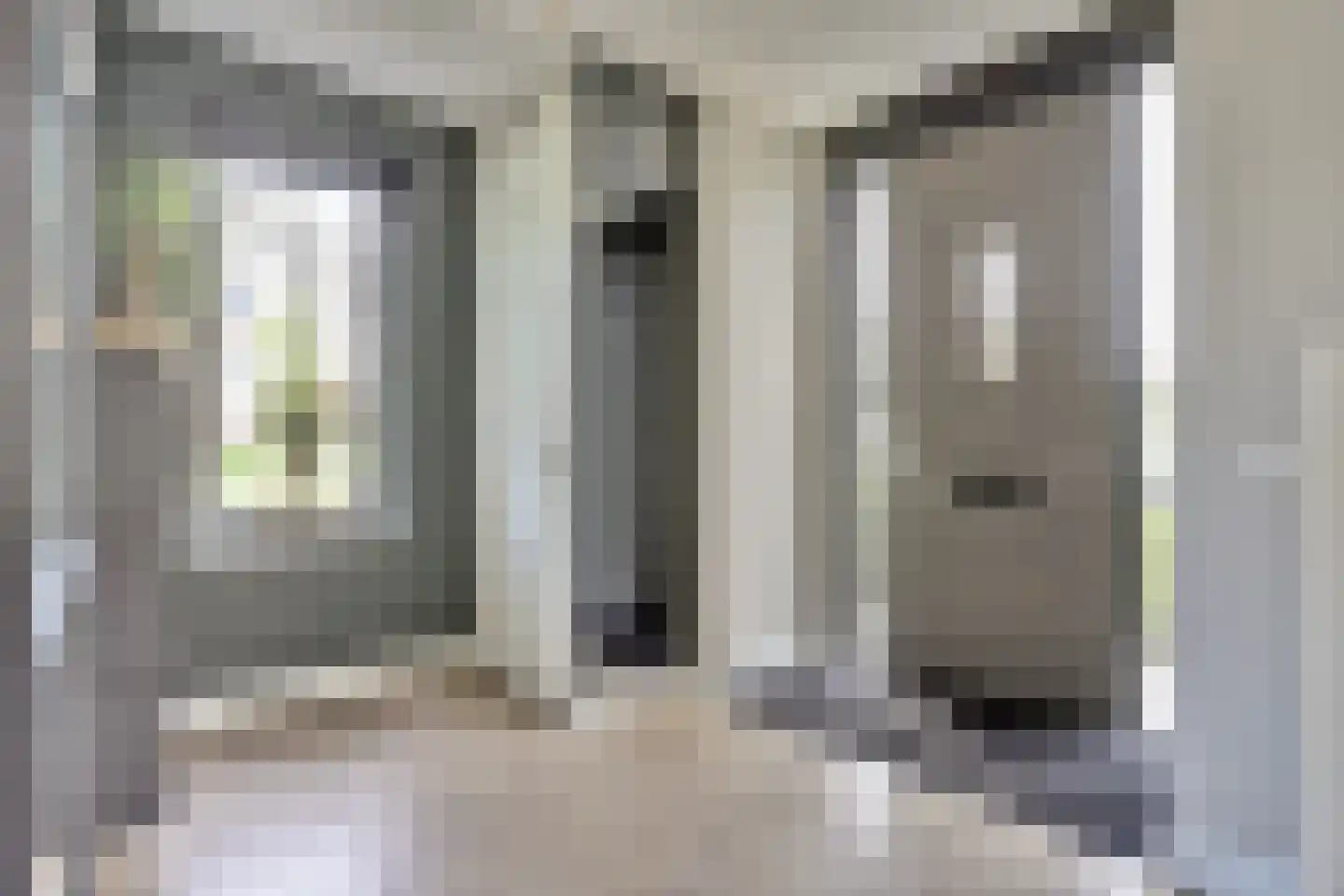 Zilverkarper 8 Waddinxveen thumbnail 16