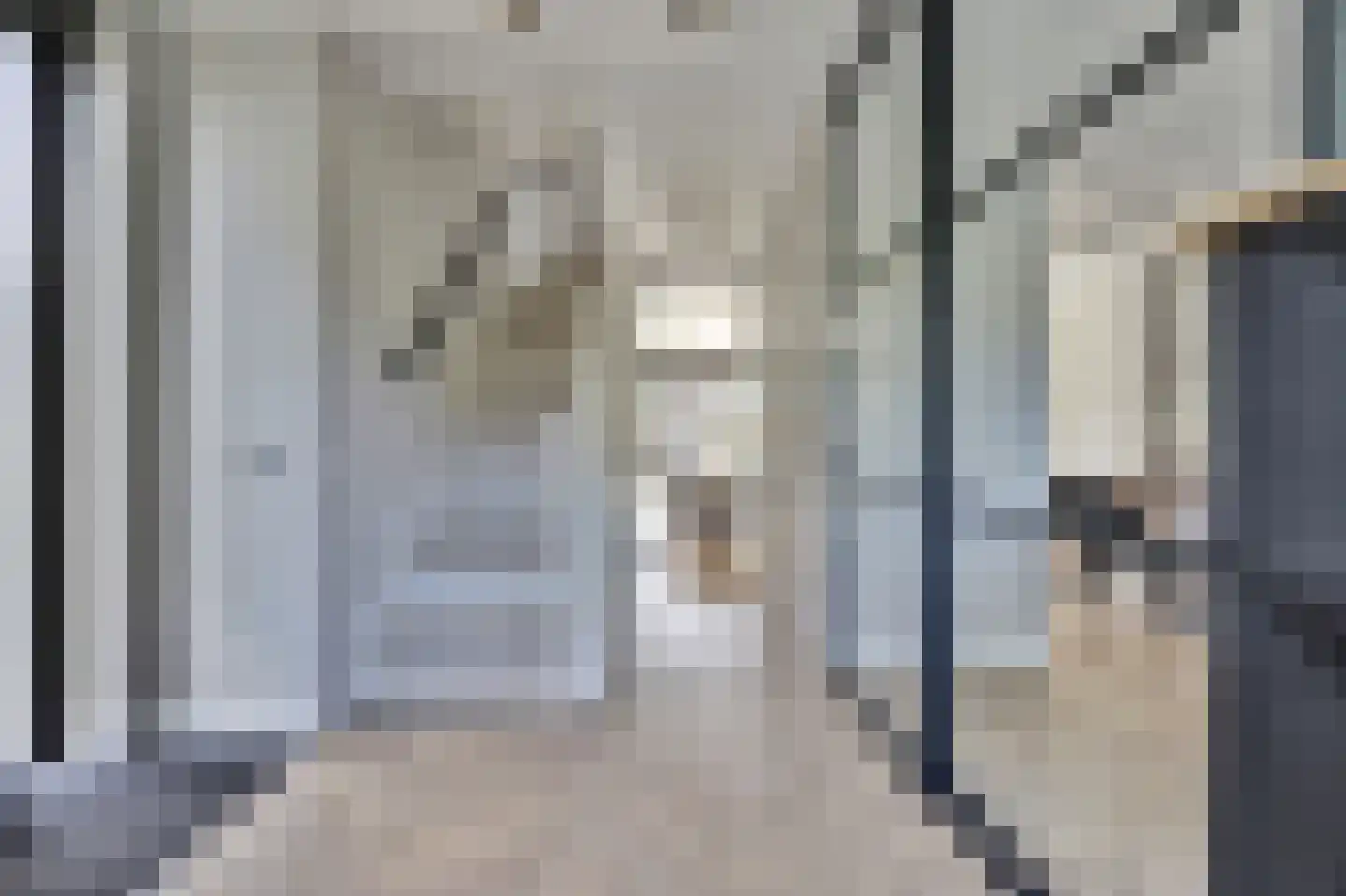 Zilverkarper 8 Waddinxveen thumbnail 18