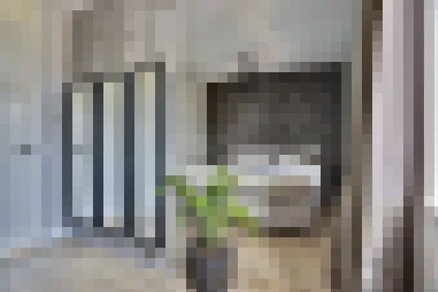 Zilverkarper 8 Waddinxveen thumbnail 19