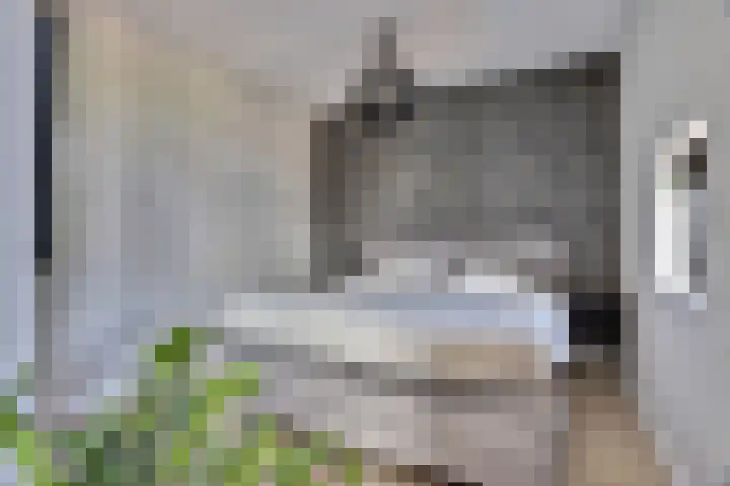 Zilverkarper 8 Waddinxveen thumbnail 20