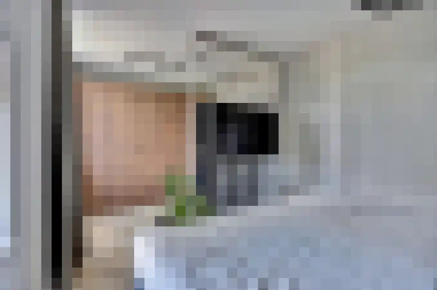 Zilverkarper 8 Waddinxveen thumbnail 21