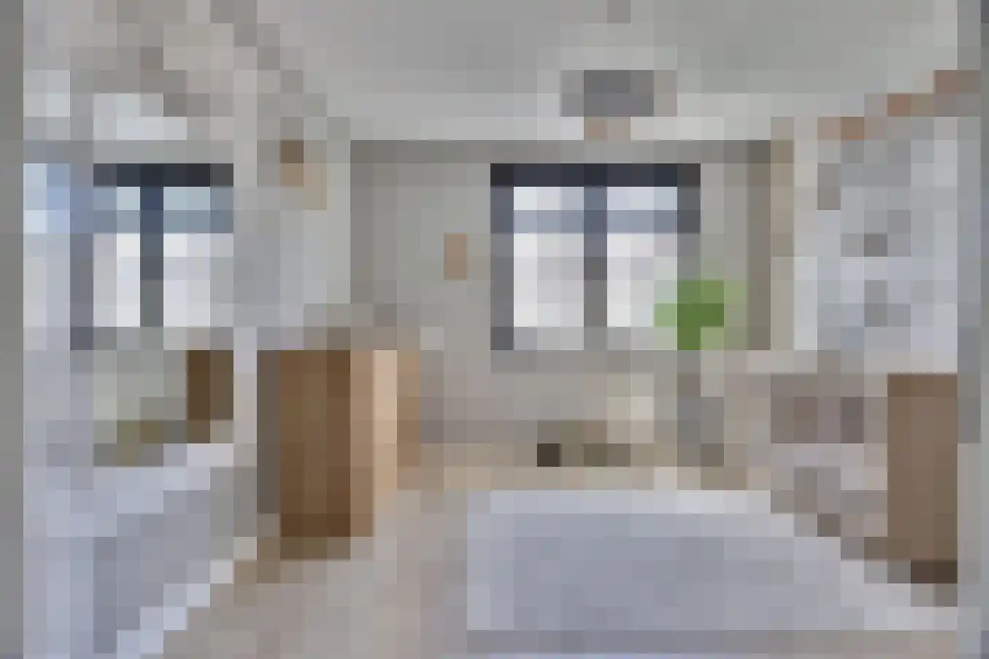 Zilverkarper 8 Waddinxveen thumbnail 22