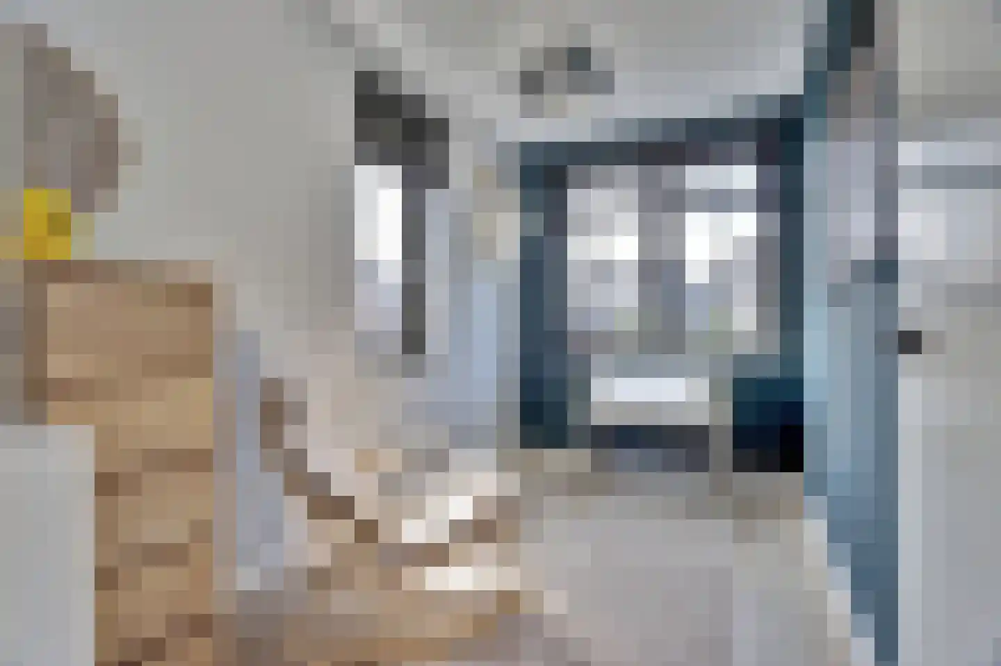 Zilverkarper 8 Waddinxveen thumbnail 23