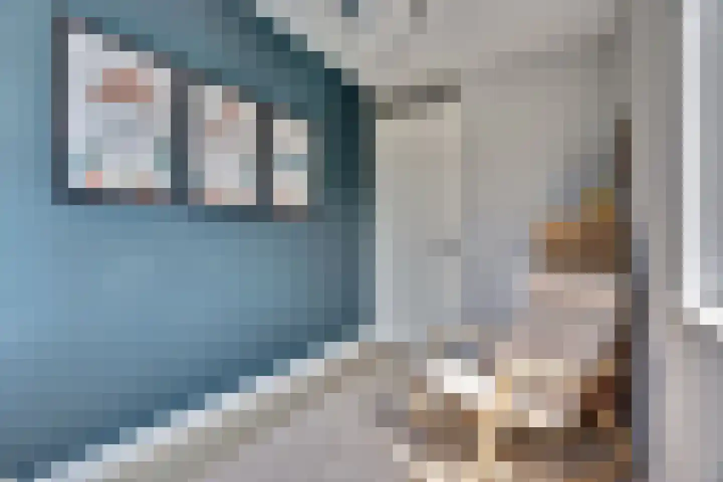 Zilverkarper 8 Waddinxveen thumbnail 24