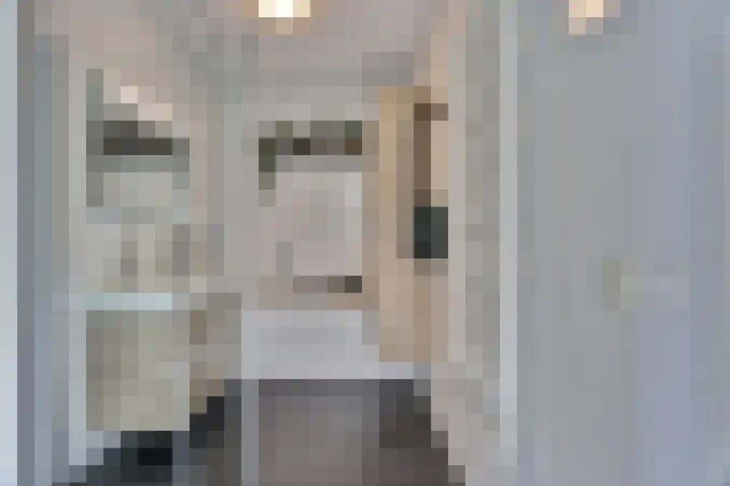 Zilverkarper 8 Waddinxveen thumbnail 25