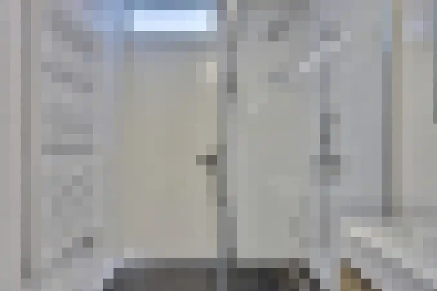 Zilverkarper 8 Waddinxveen thumbnail 27