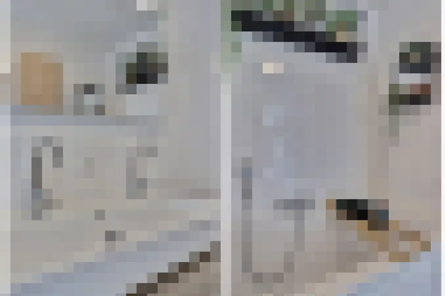 Zilverkarper 8 Waddinxveen thumbnail 28