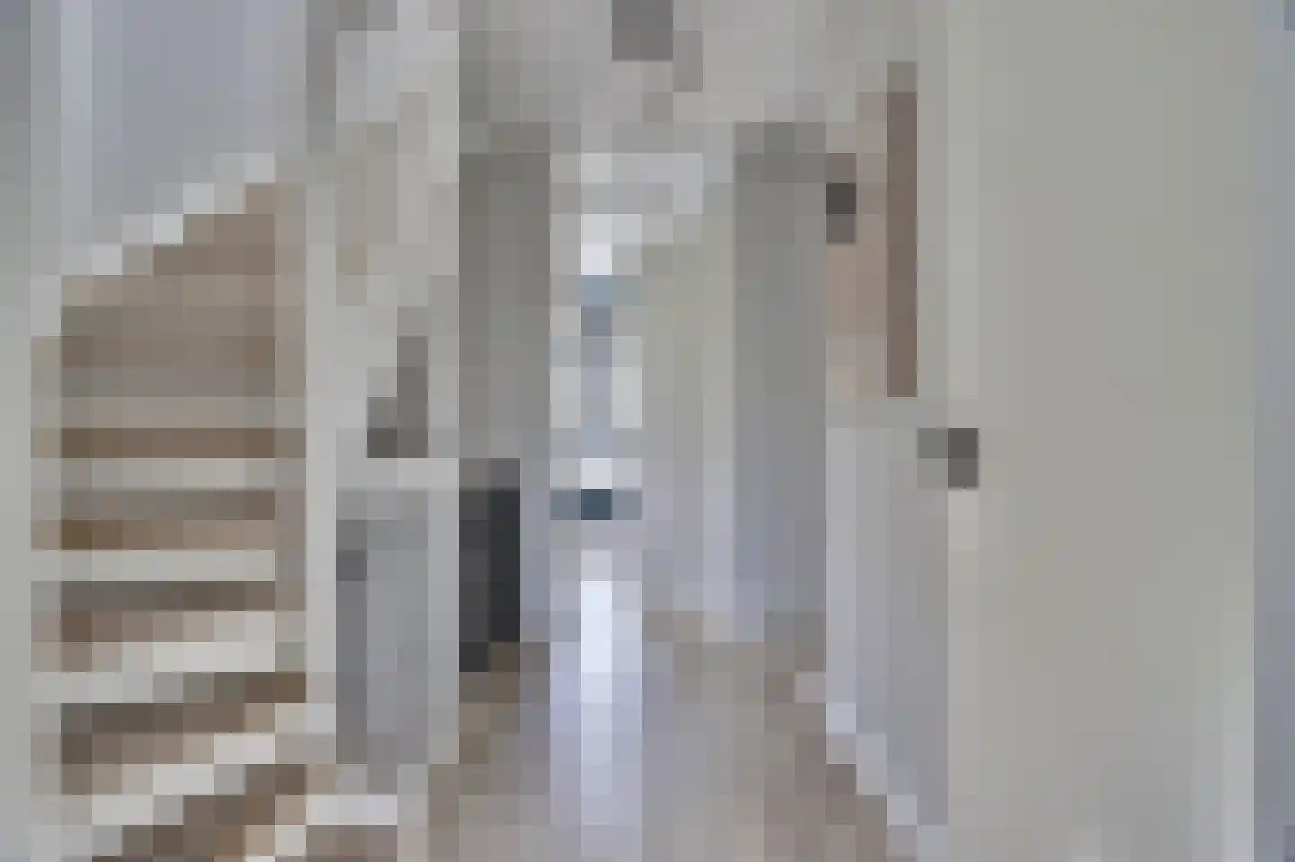 Zilverkarper 8 Waddinxveen thumbnail 30