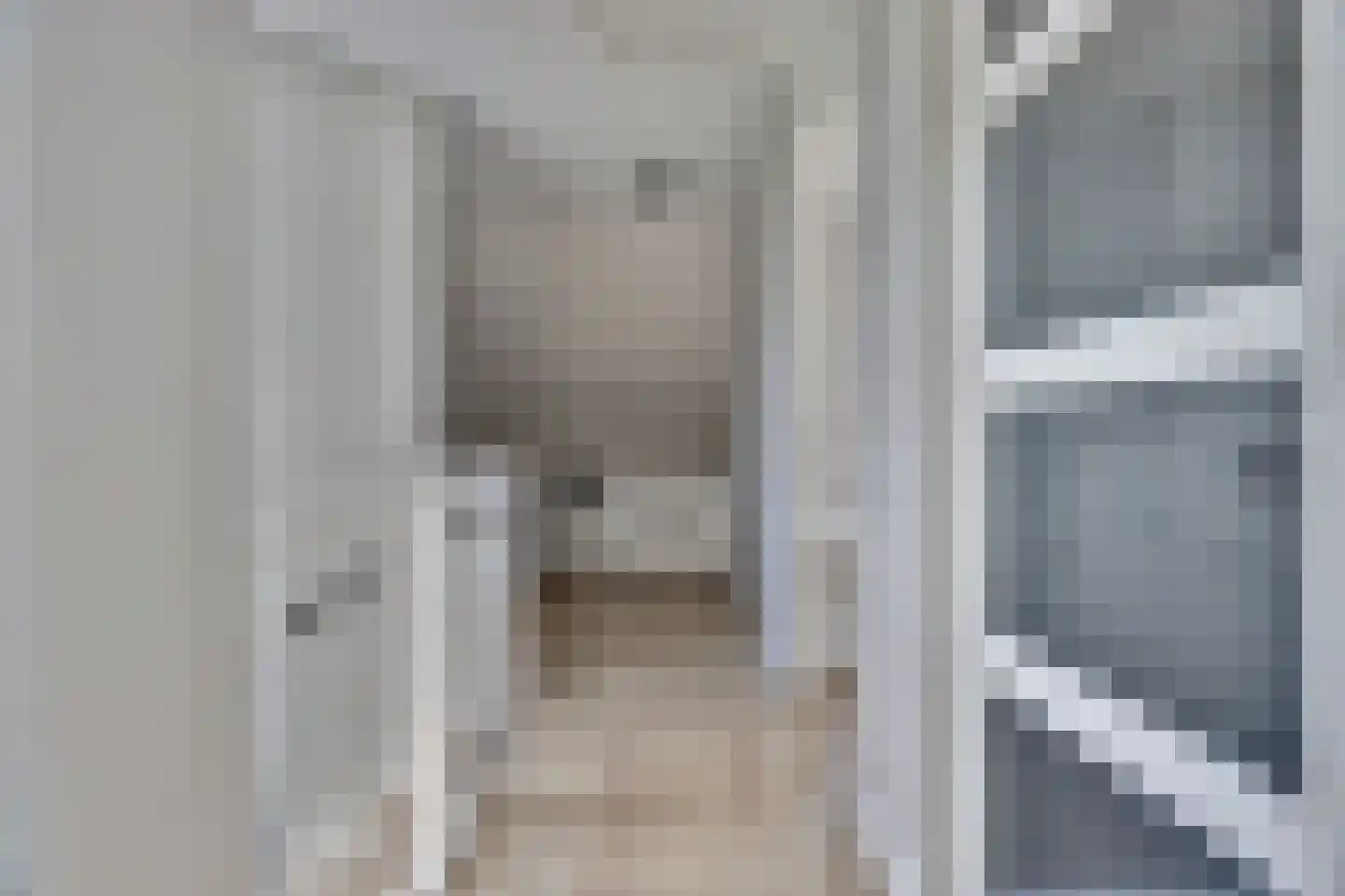 Zilverkarper 8 Waddinxveen thumbnail 31