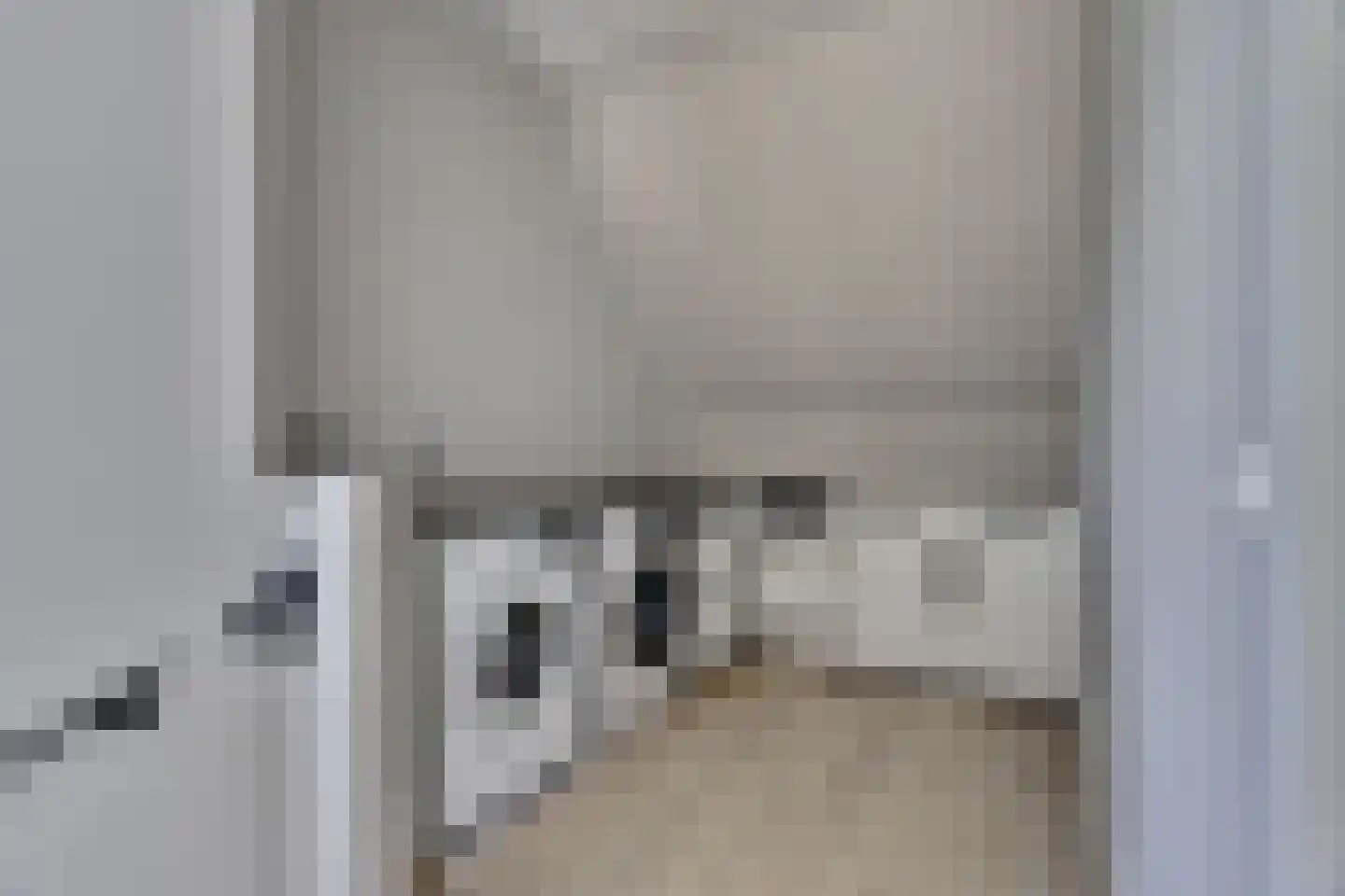 Zilverkarper 8 Waddinxveen thumbnail 32