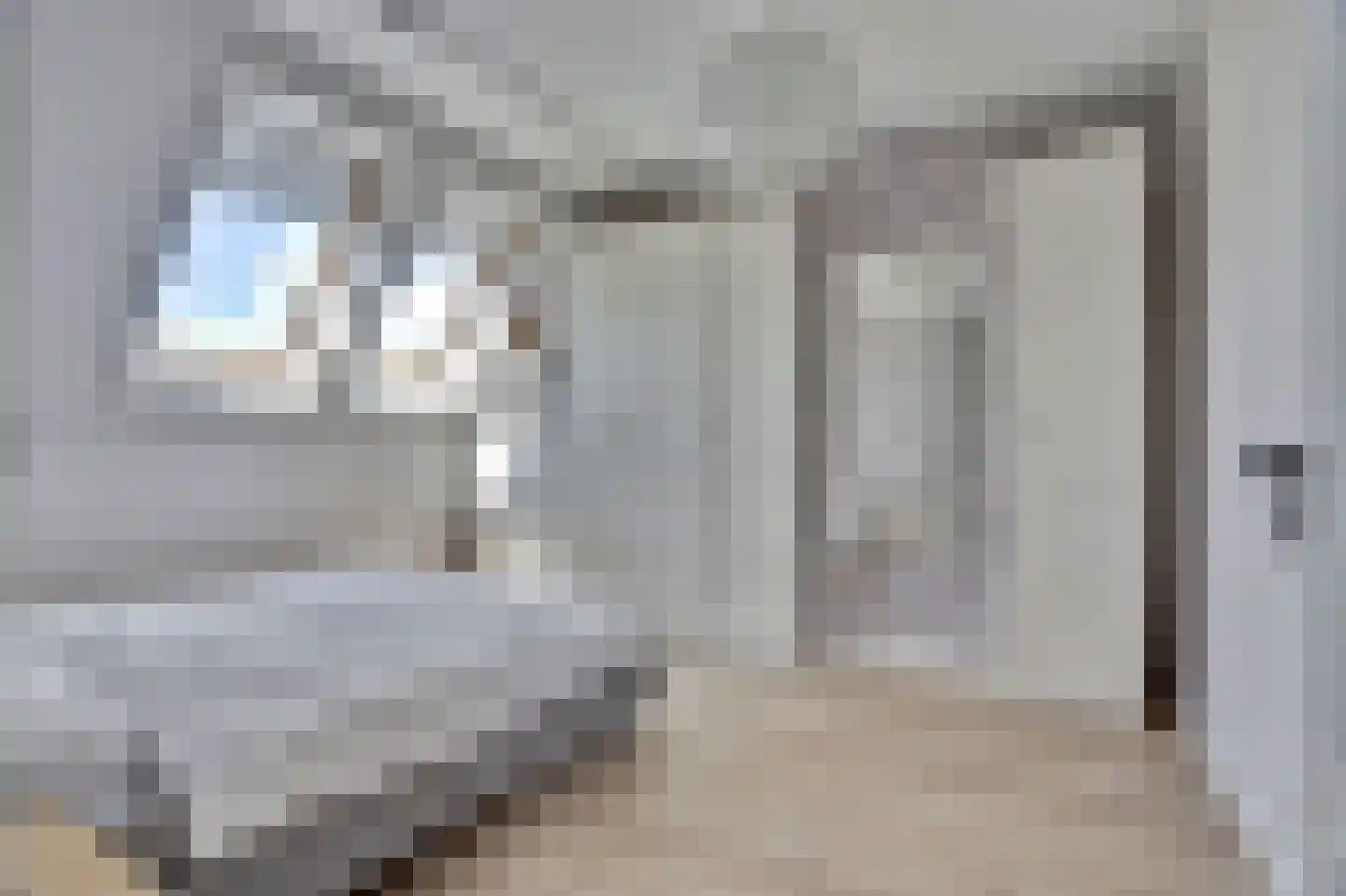 Zilverkarper 8 Waddinxveen thumbnail 33