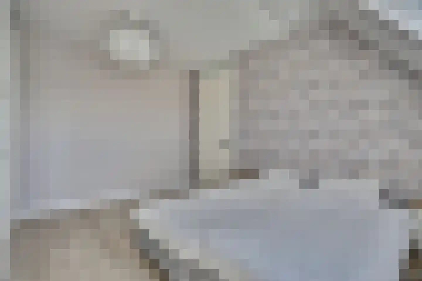 Zilverkarper 8 Waddinxveen thumbnail 34