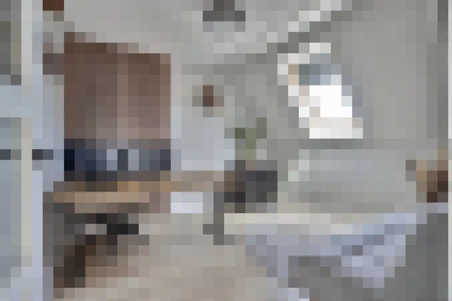 Zilverkarper 8 Waddinxveen thumbnail 35