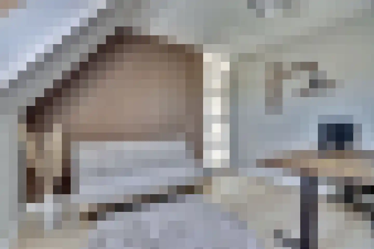 Zilverkarper 8 Waddinxveen thumbnail 36