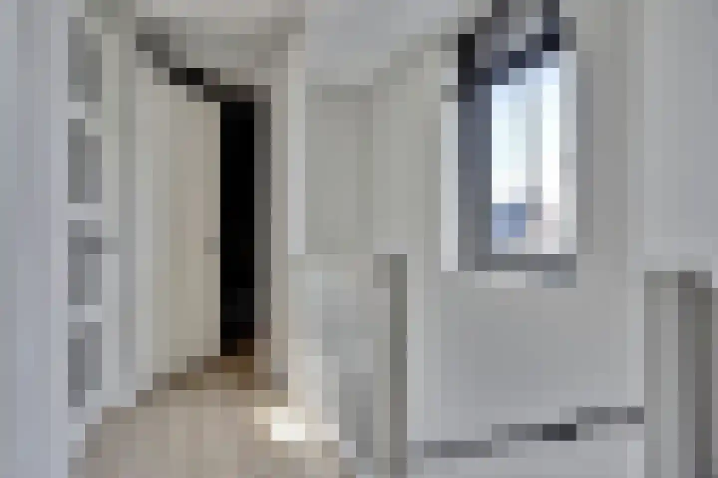 Zilverkarper 8 Waddinxveen thumbnail 37
