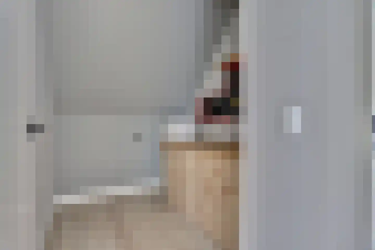 Zilverkarper 8 Waddinxveen thumbnail 38
