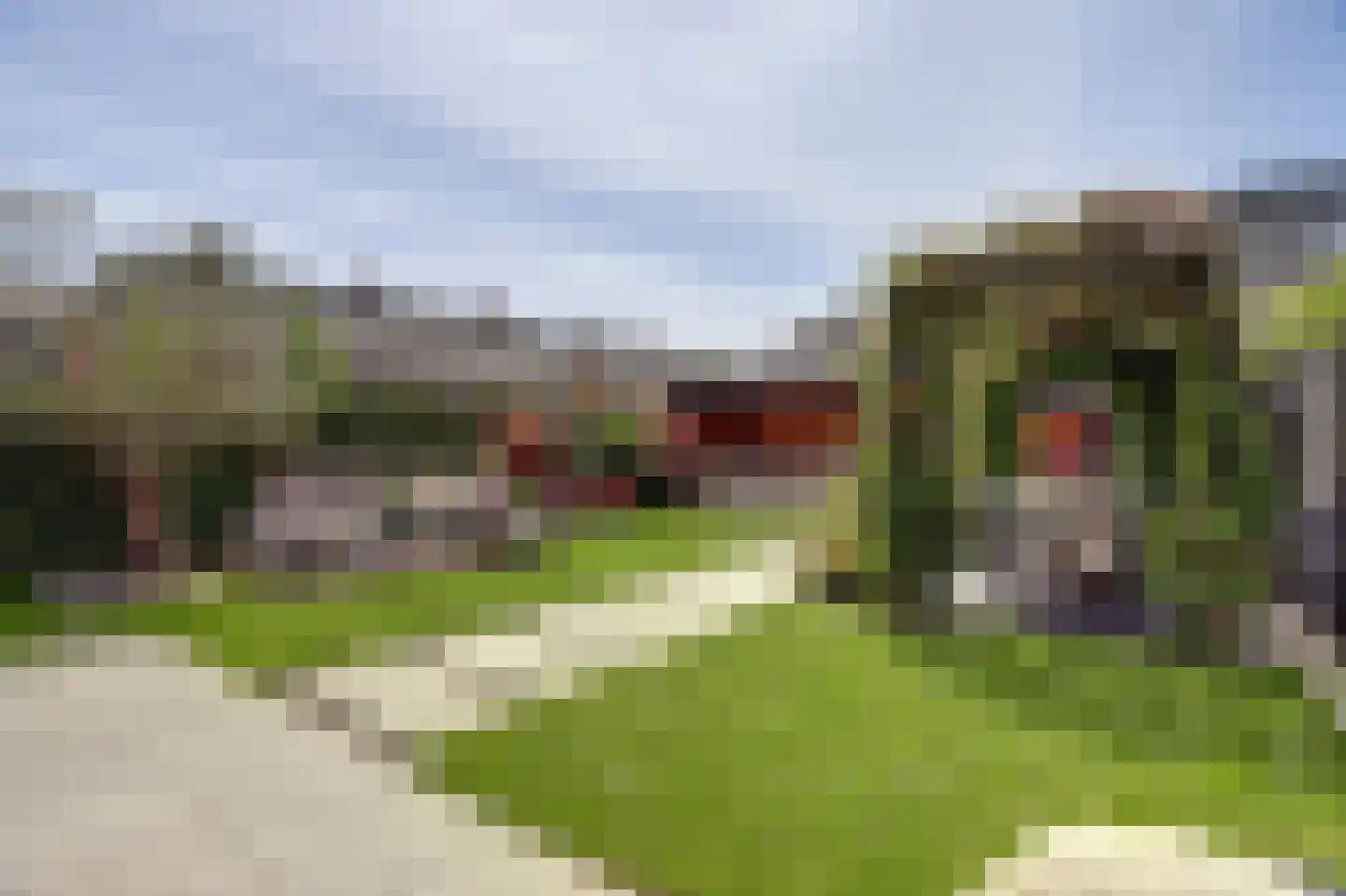 Zilverkarper 8 Waddinxveen thumbnail 39