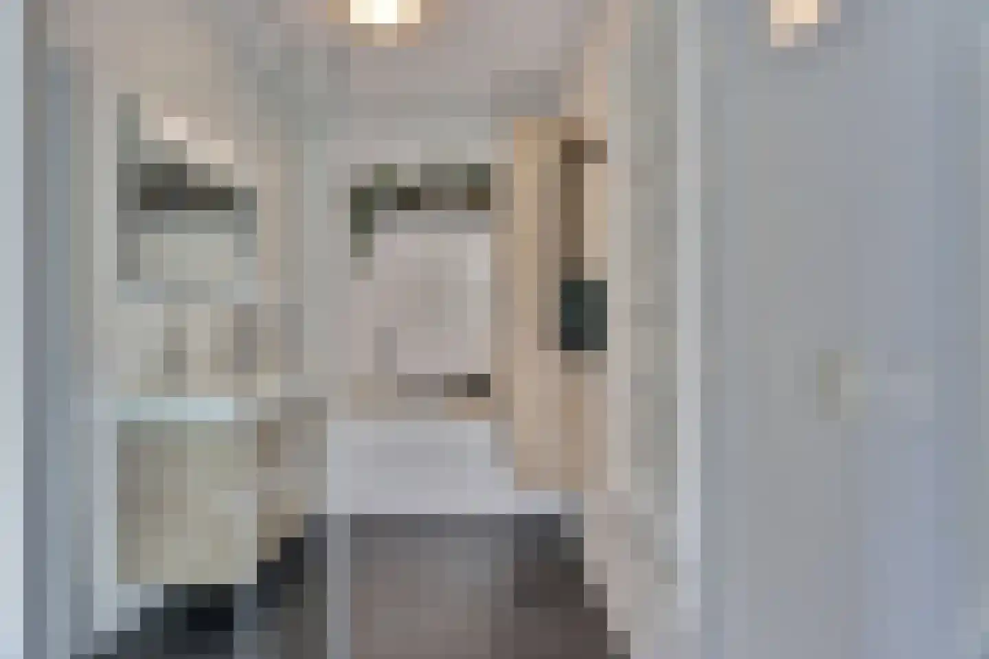 Zilverkarper 8 Waddinxveen thumbnail 4