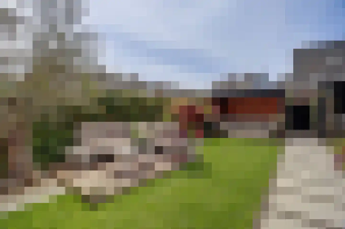 Zilverkarper 8 Waddinxveen thumbnail 40