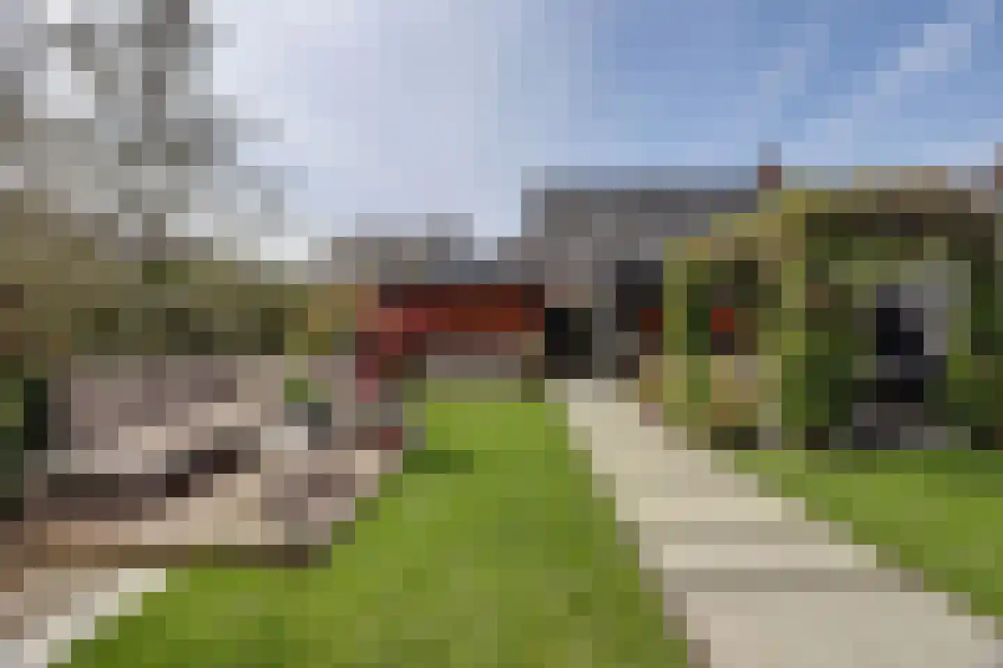 Zilverkarper 8 Waddinxveen thumbnail 41