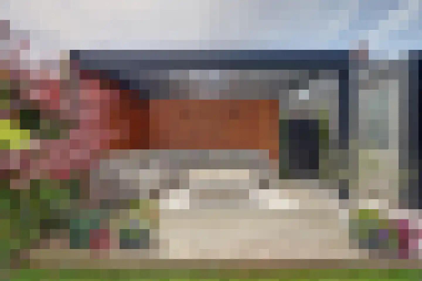 Zilverkarper 8 Waddinxveen thumbnail 42
