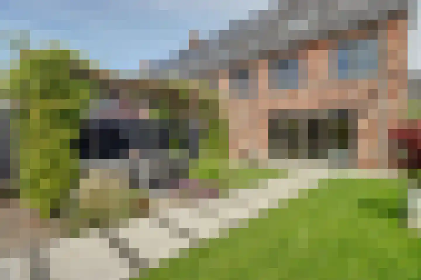 Zilverkarper 8 Waddinxveen thumbnail 47