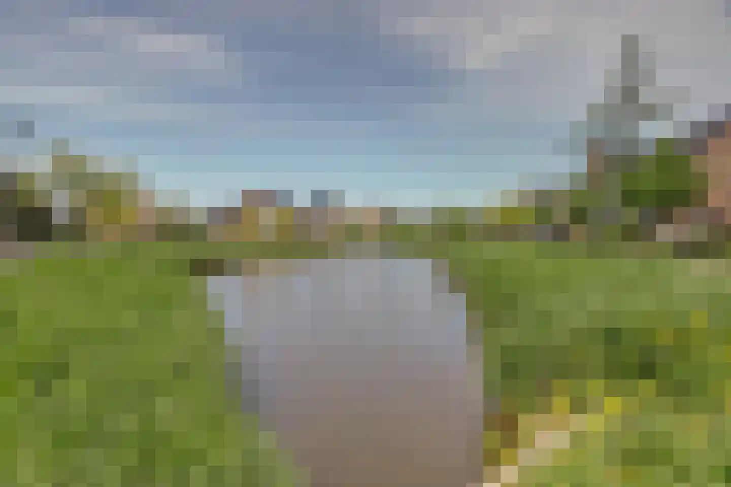 Zilverkarper 8 Waddinxveen thumbnail 49