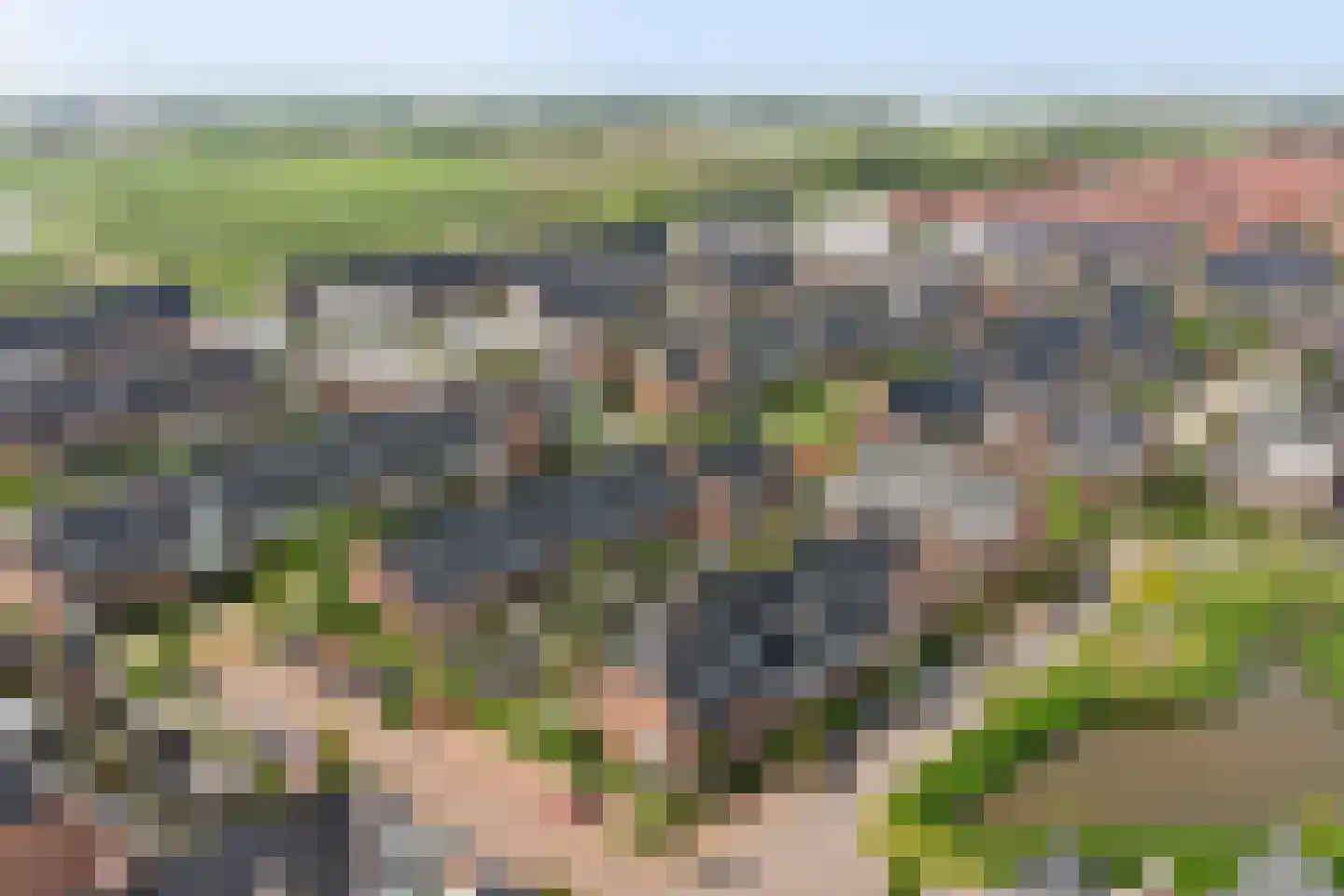 Zilverkarper 8 Waddinxveen thumbnail 50