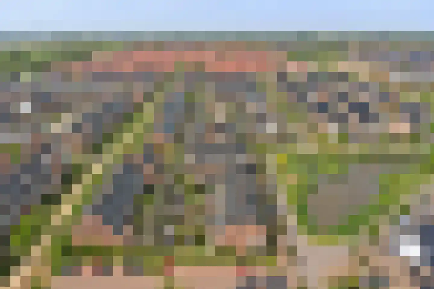 Zilverkarper 8 Waddinxveen thumbnail 51