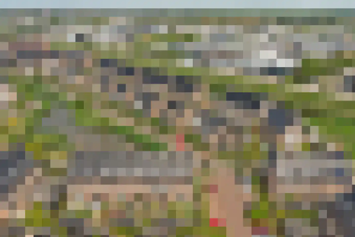 Zilverkarper 8 Waddinxveen thumbnail 52