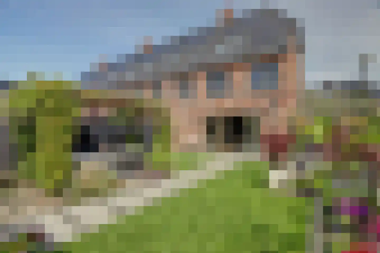 Zilverkarper 8 Waddinxveen thumbnail 6