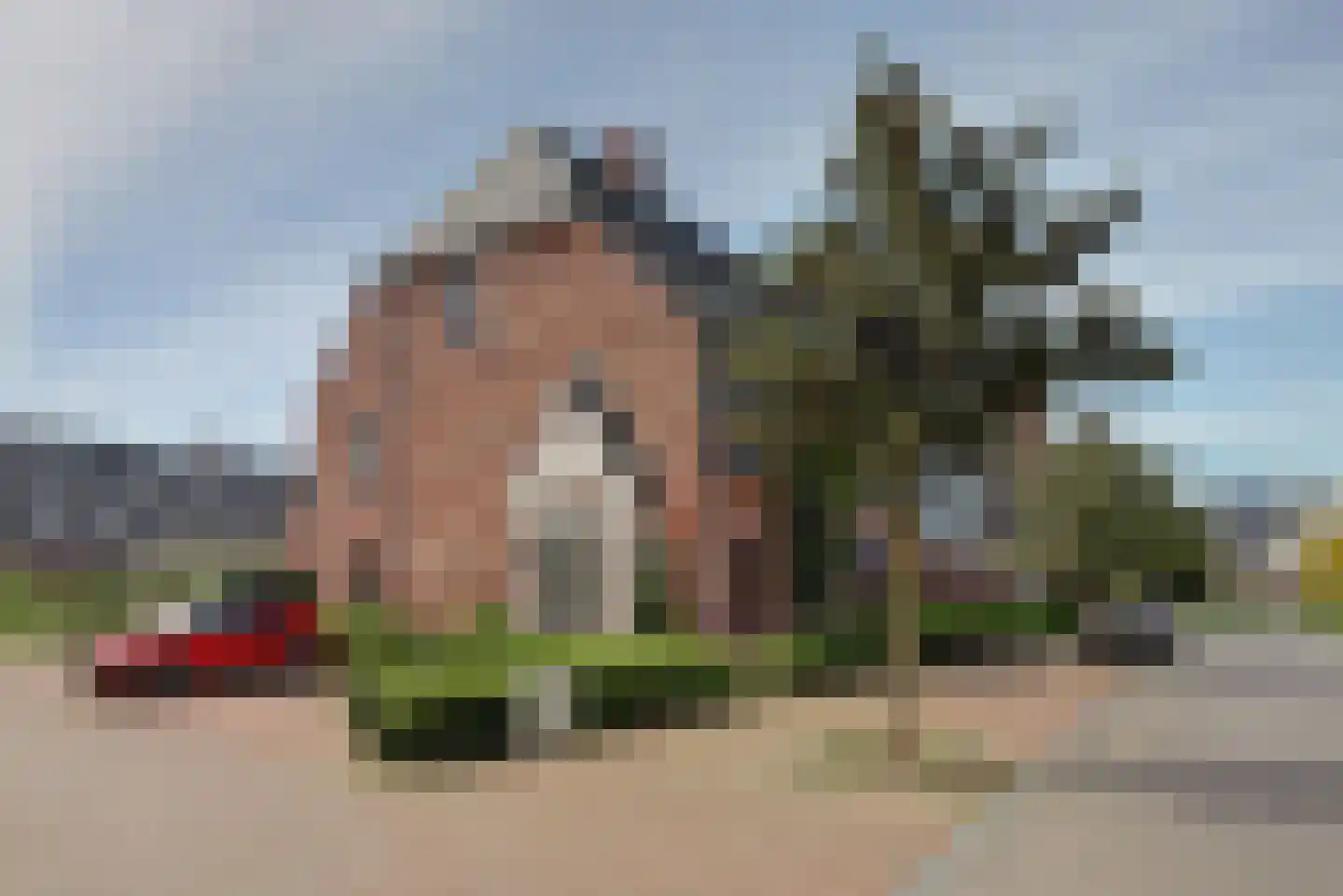 Zilverkarper 8 Waddinxveen thumbnail 7