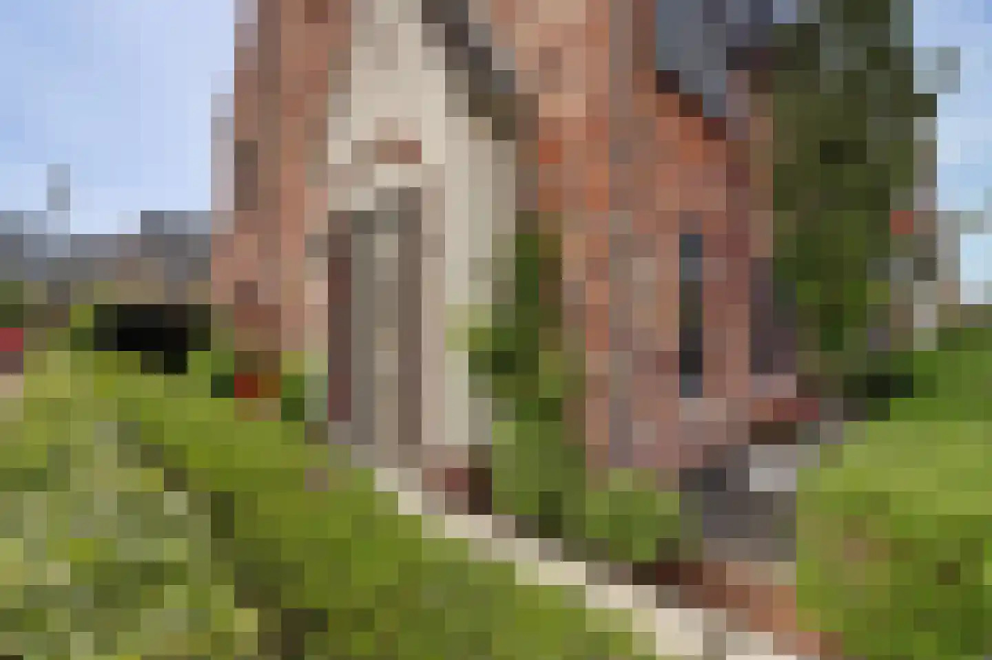 Zilverkarper 8 Waddinxveen thumbnail 8