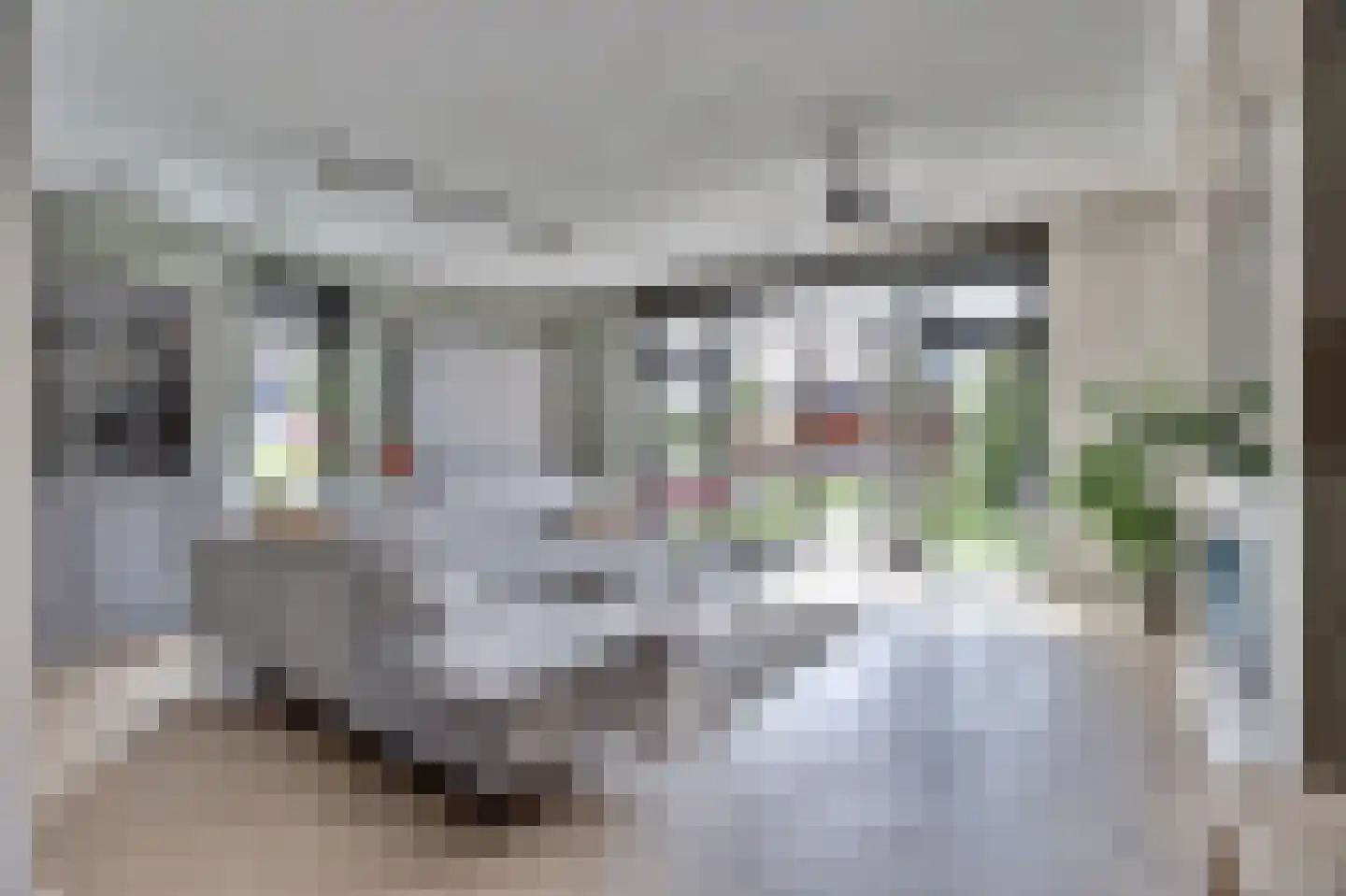 Zilverkarper 8 Waddinxveen thumbnail 9
