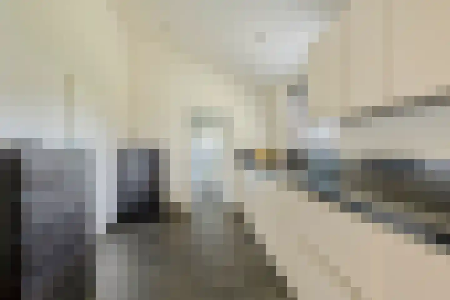 Zilverkruid 19 's-Hertogenbosch thumbnail 12