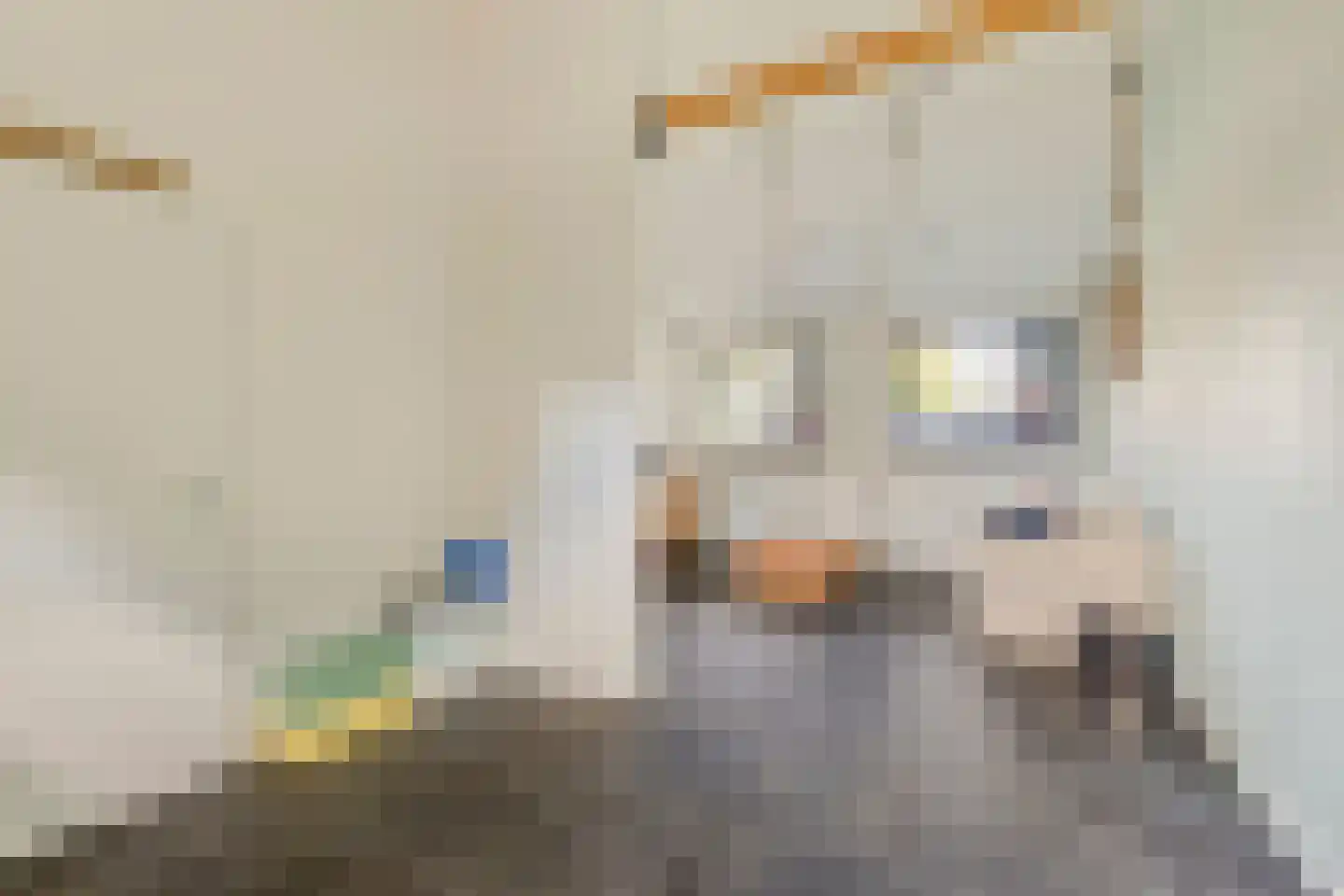 Zilverkruid 19 's-Hertogenbosch thumbnail 13