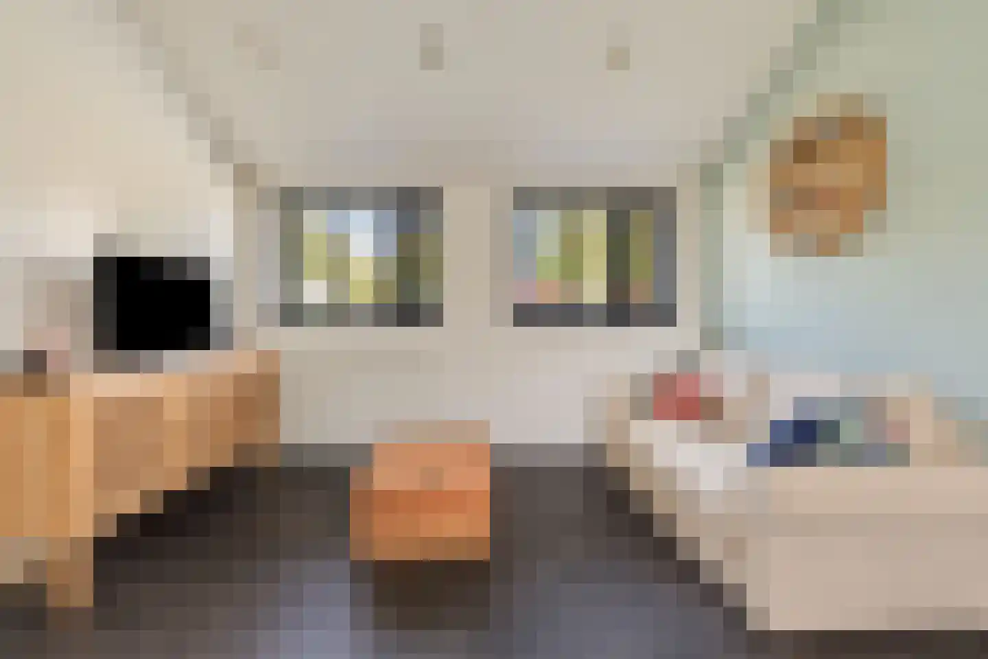 Zilverkruid 19 's-Hertogenbosch thumbnail 14
