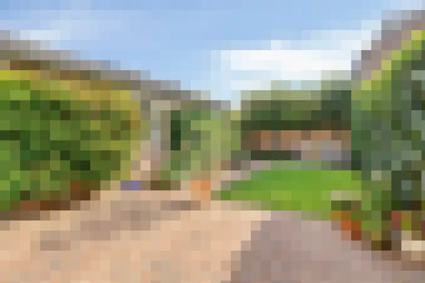 Zilverkruid 19 's-Hertogenbosch thumbnail 17