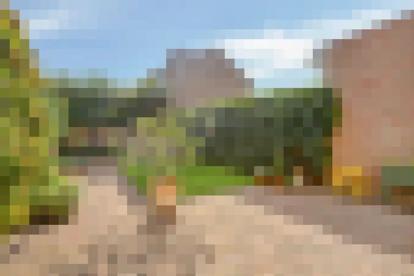 Zilverkruid 19 's-Hertogenbosch thumbnail 18