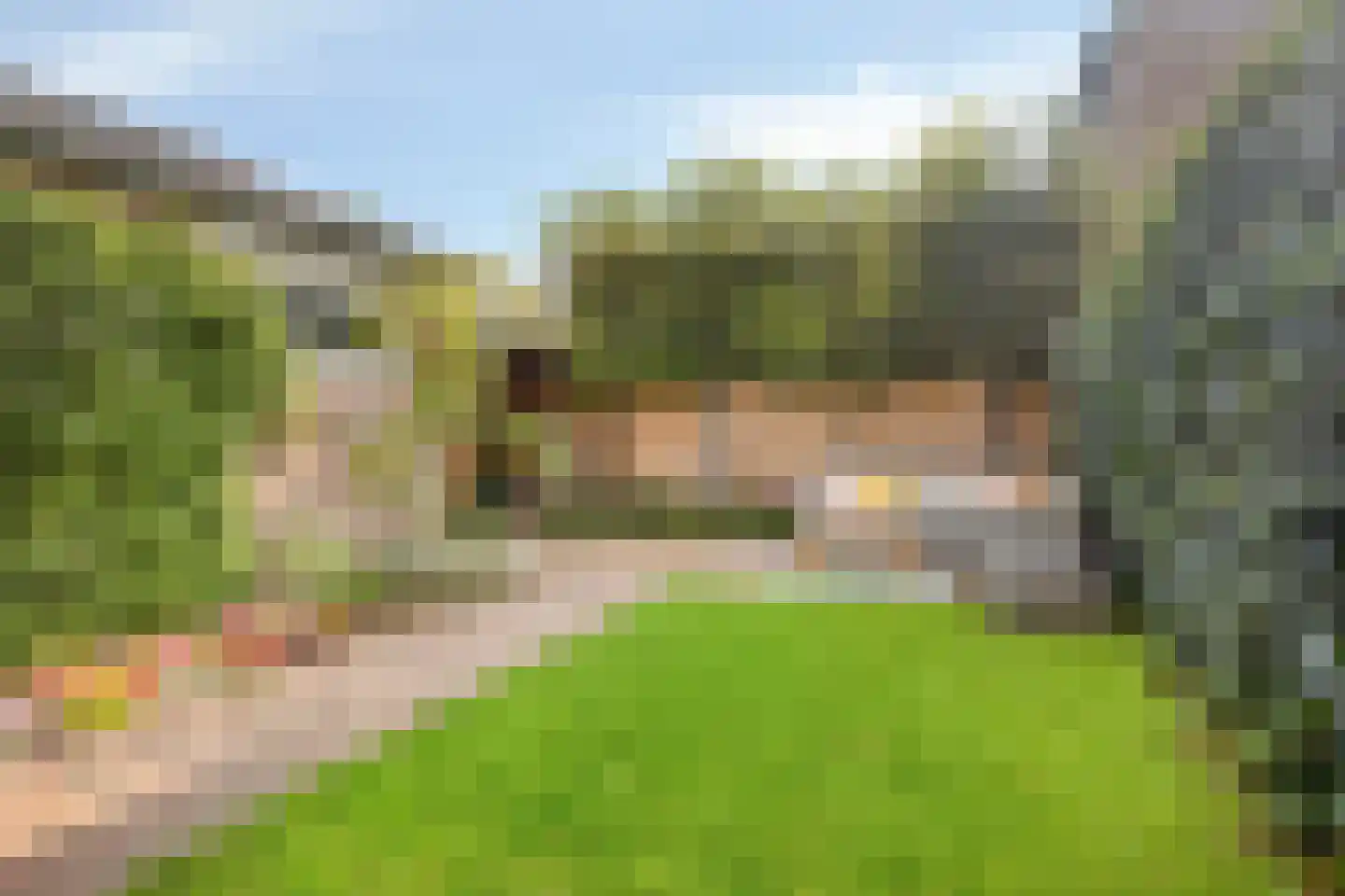 Zilverkruid 19 's-Hertogenbosch thumbnail 19