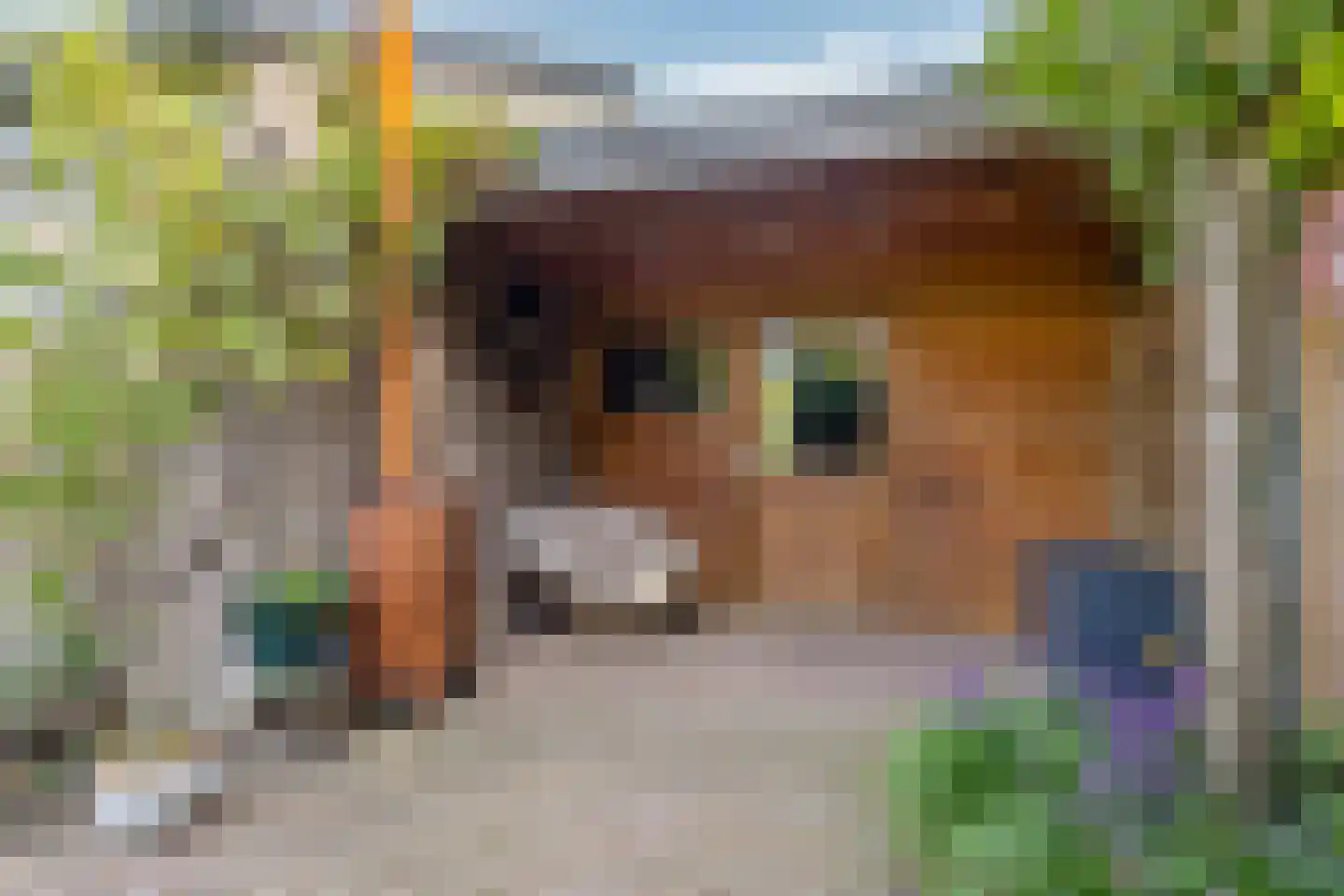 Zilverkruid 19 's-Hertogenbosch thumbnail 20