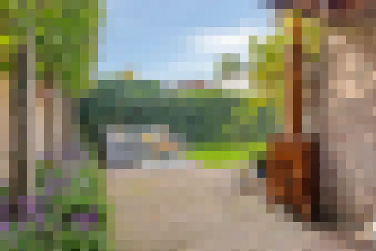 Zilverkruid 19 's-Hertogenbosch thumbnail 21