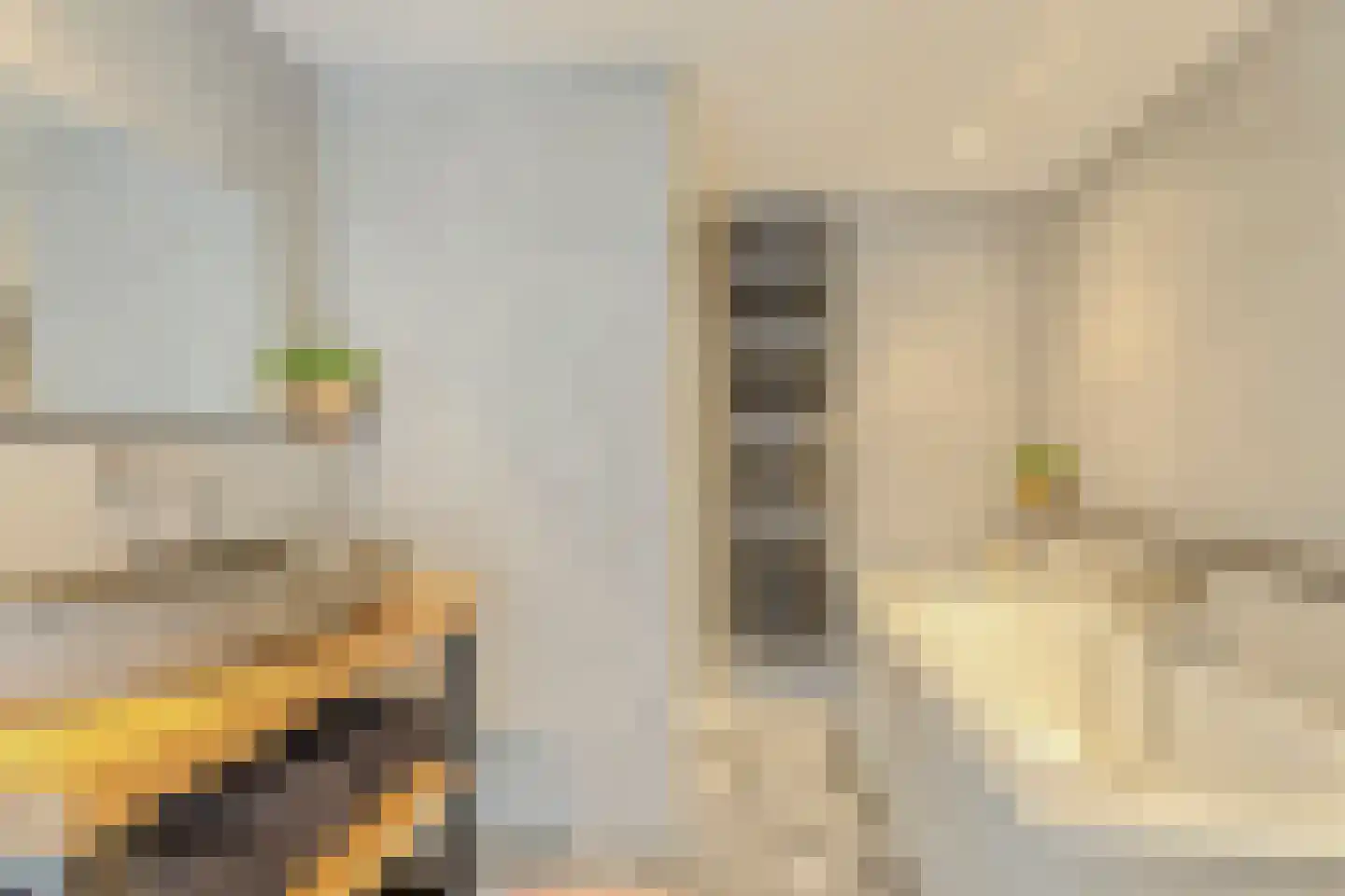Zilverkruid 19 's-Hertogenbosch thumbnail 32