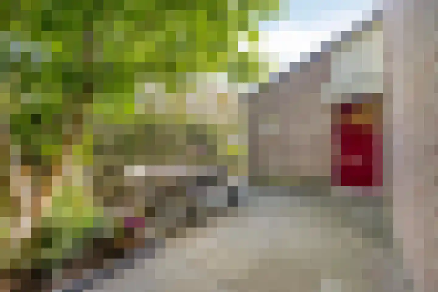 Zilverkruid 19 's-Hertogenbosch thumbnail 35