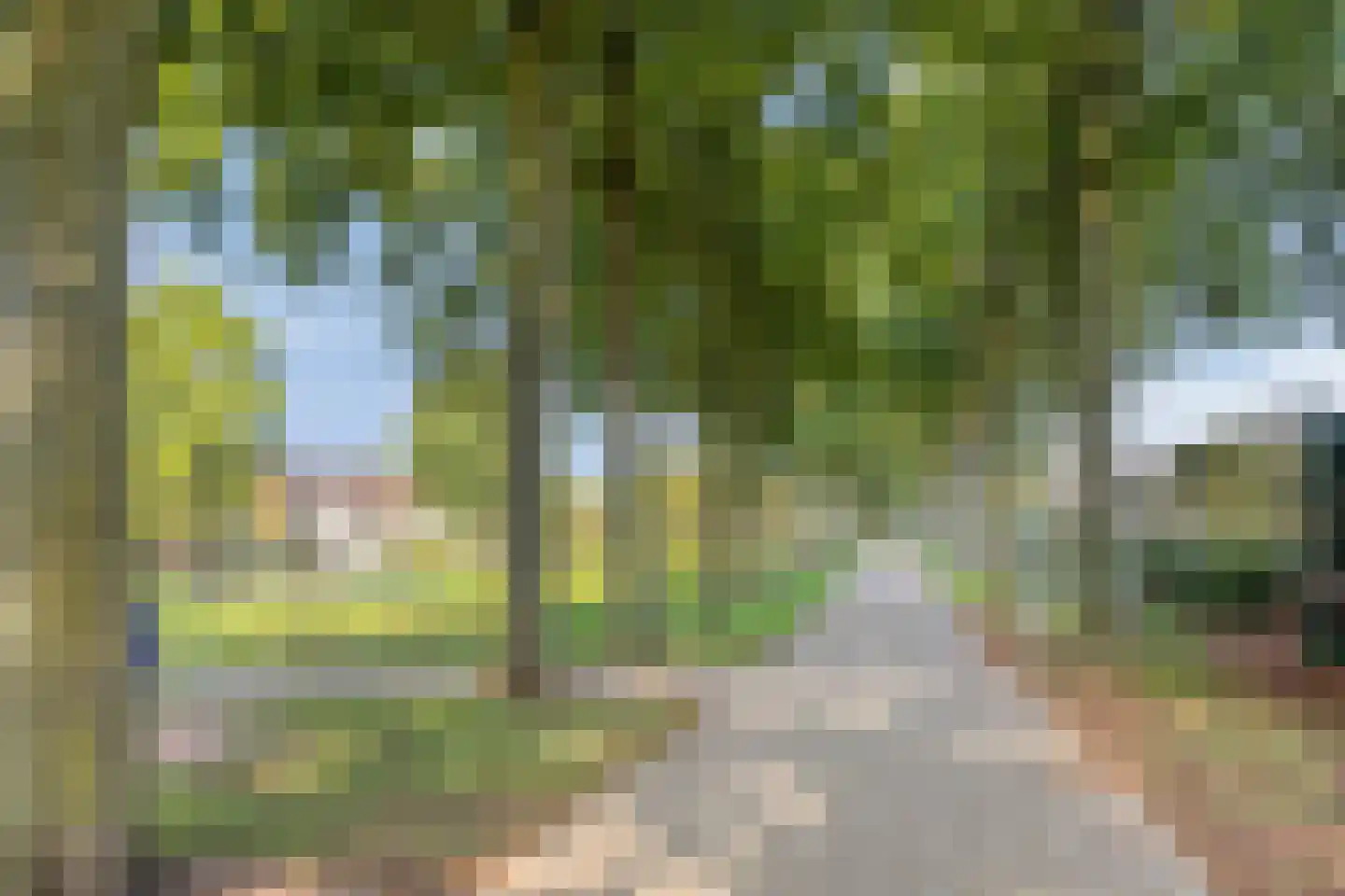 Zilverkruid 19 's-Hertogenbosch thumbnail 39