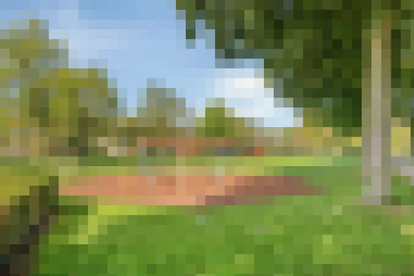 Zilverkruid 19 's-Hertogenbosch thumbnail 40