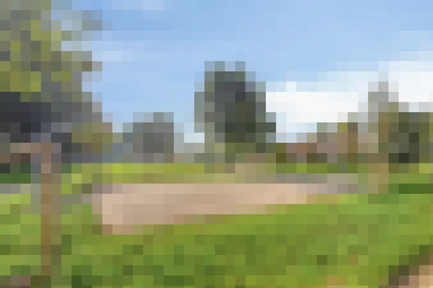 Zilverkruid 19 's-Hertogenbosch thumbnail 41