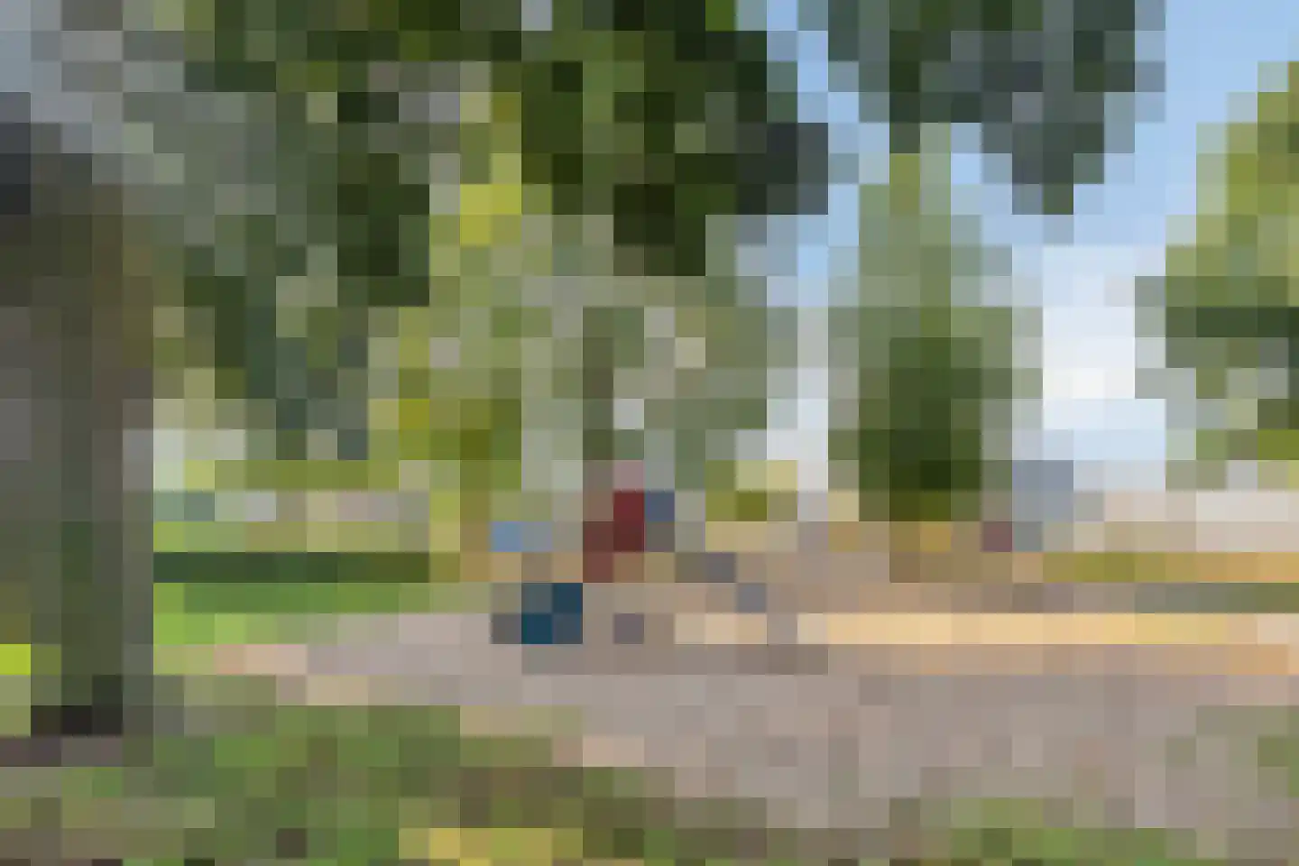 Zilverkruid 19 's-Hertogenbosch thumbnail 42
